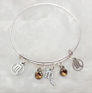 Scorpio Charm Bracelet